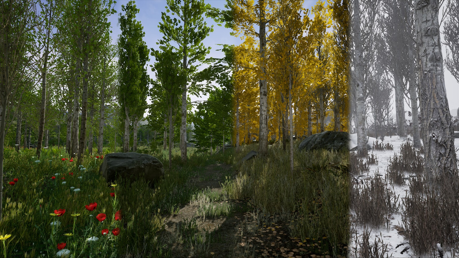 Scanned Poplar and Aspen Forest with Seasons